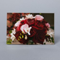 POLYPROPYLENE Sleeves for Photos